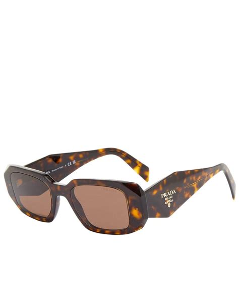 brown prada sunglasses studded|prada symbole sunglasses tortoise.